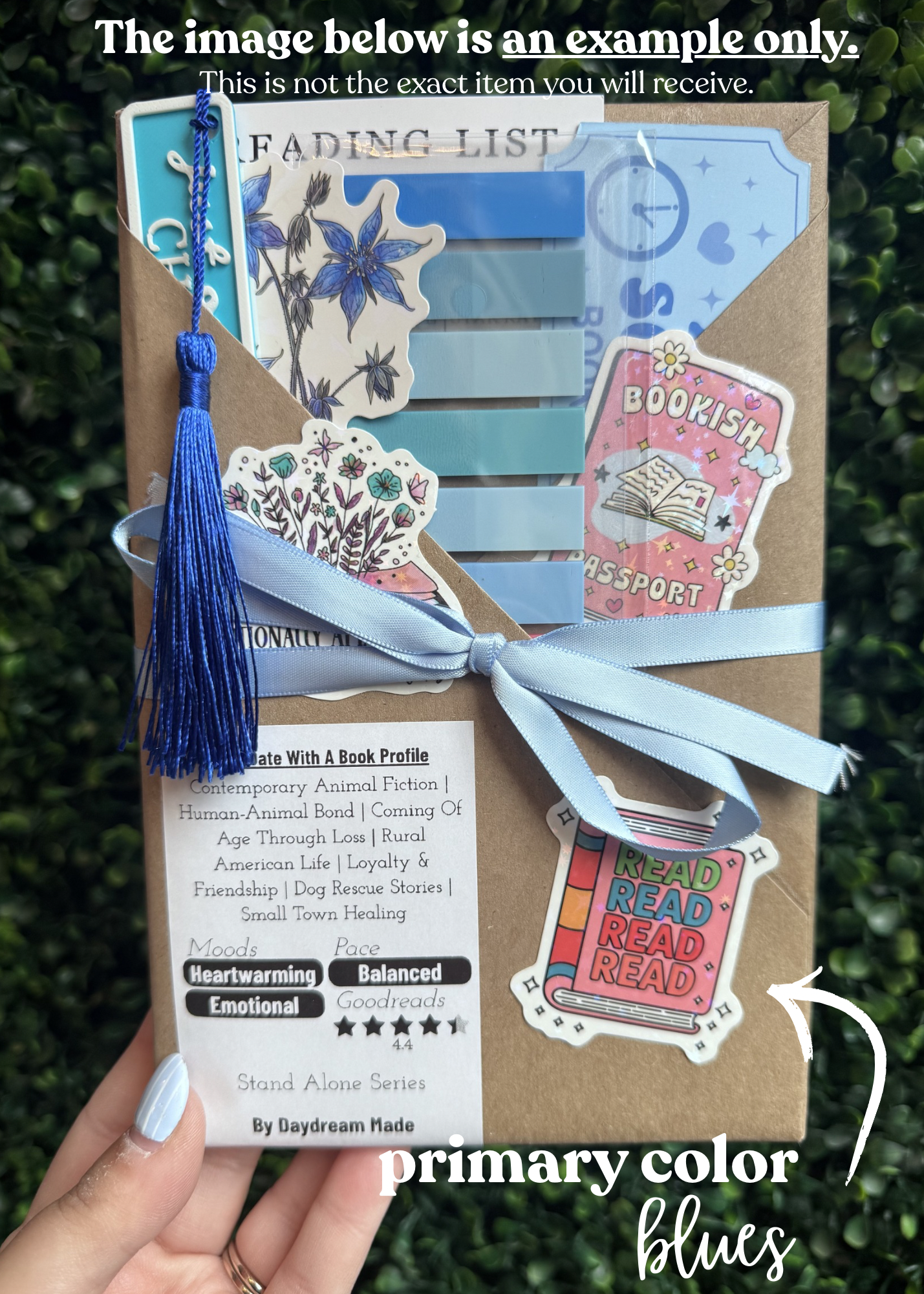 Blind Book blue example
